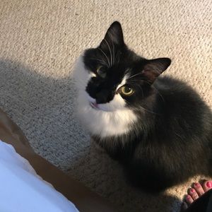 Meet your Posher, Kim